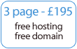 3 page affordable website design