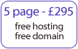 5 page affordable website design